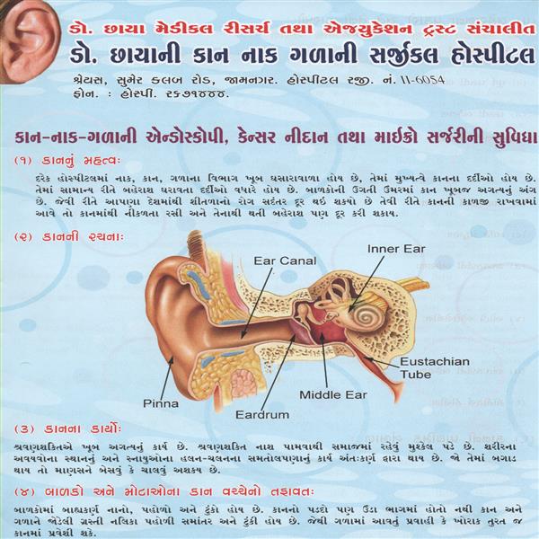 About Ear Pg.1